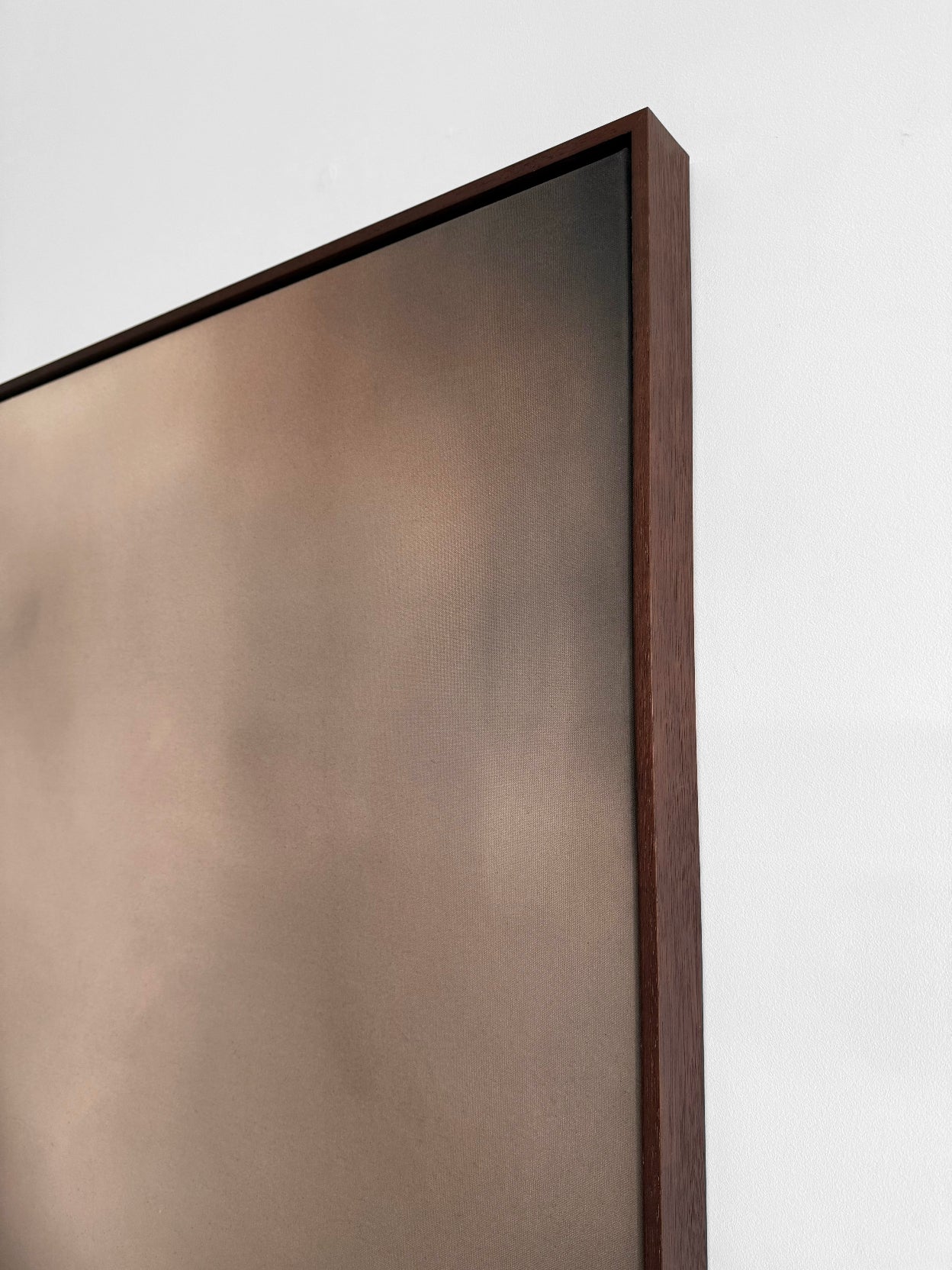 'Social Butterfly' artwork and frame close up details