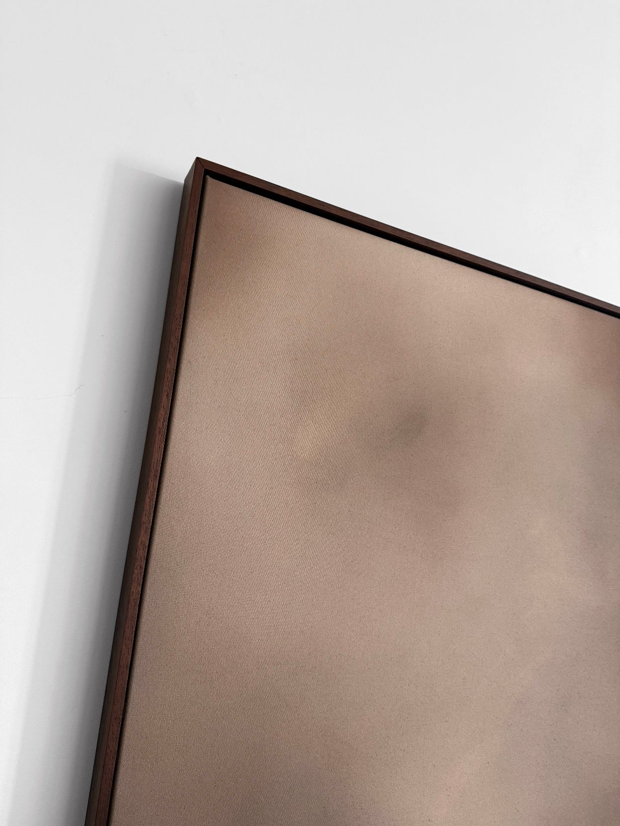 'Social Butterfly' artwork and frame close up details