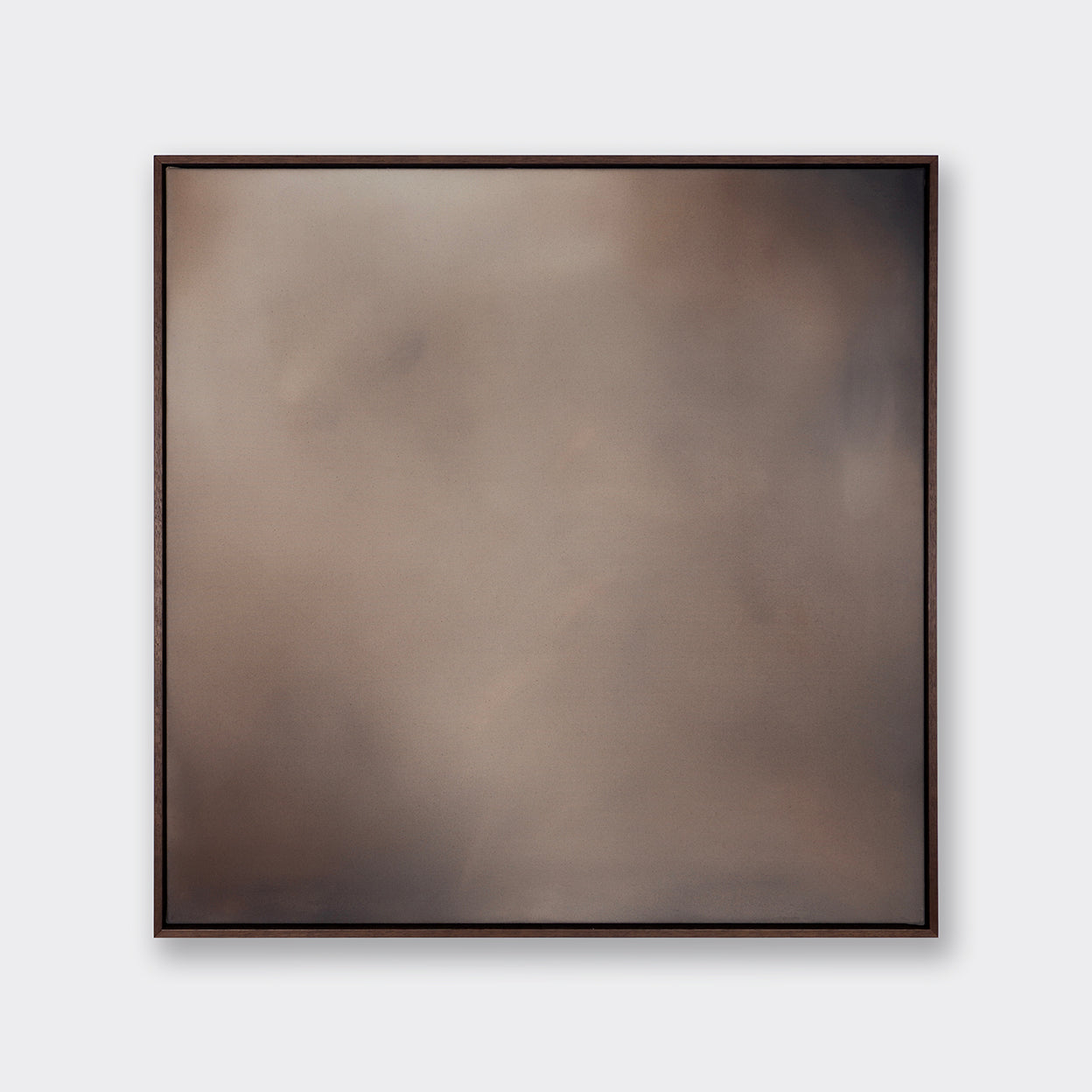 'Social Butterfly'artwork